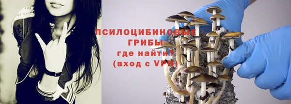 СК Абинск