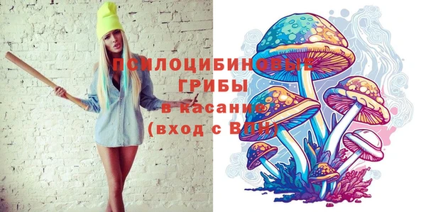 СК Абинск