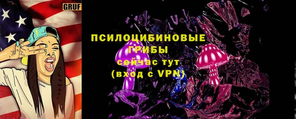 СК Абинск